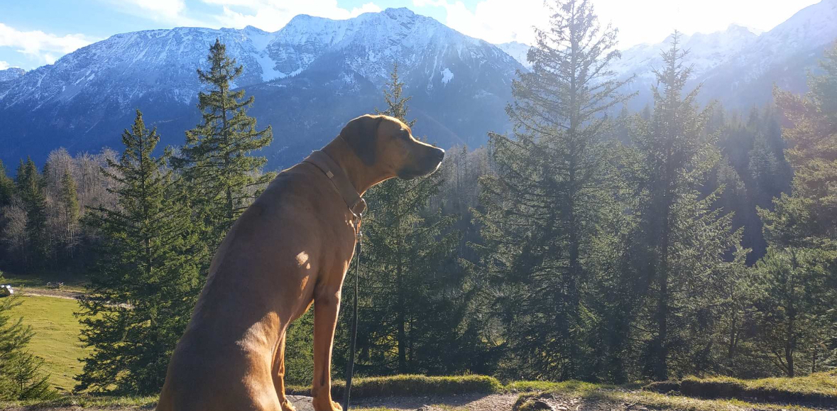 Wandertour von Lorch bis Stuttgart